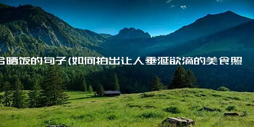 适合晒饭的句子(如何拍出让人垂涎欲滴的美食照片？- 摄影技巧大赏)